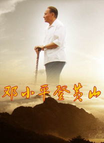 国产99久久久久久免费看农村